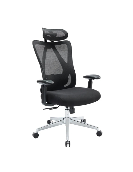 Lajace Back Ergonomic Office Task Chair