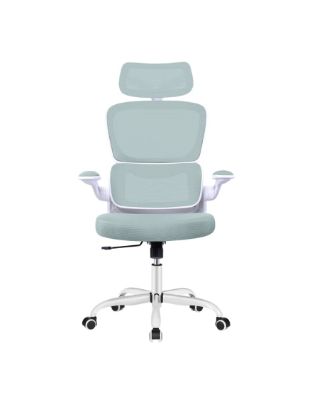 Lidwien Polyester Blend Task Chair with Headrest